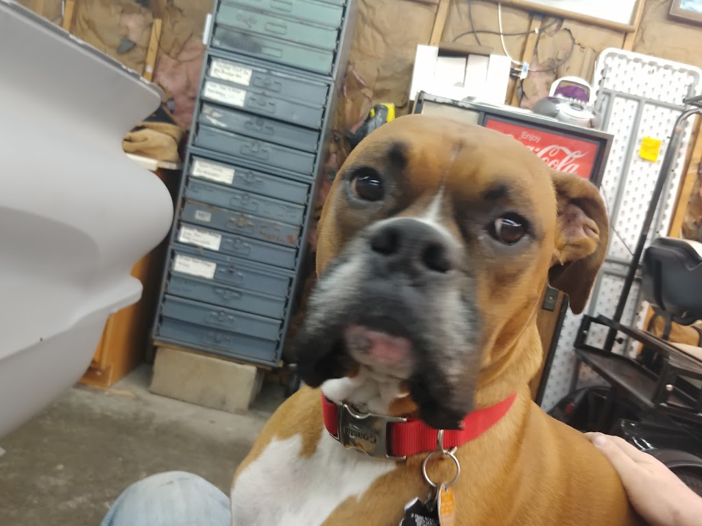 Aflac Insurance: Judy Cronin | 6200 Cronin Farm Dr, Louisville, KY 40216, USA | Phone: (502) 895-9755