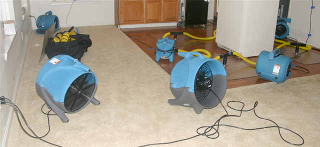 Louisville Carpet Cleaning & Flood Restoration | 3915 Benje Way, Louisville, KY 40241, USA | Phone: (502) 585-2444