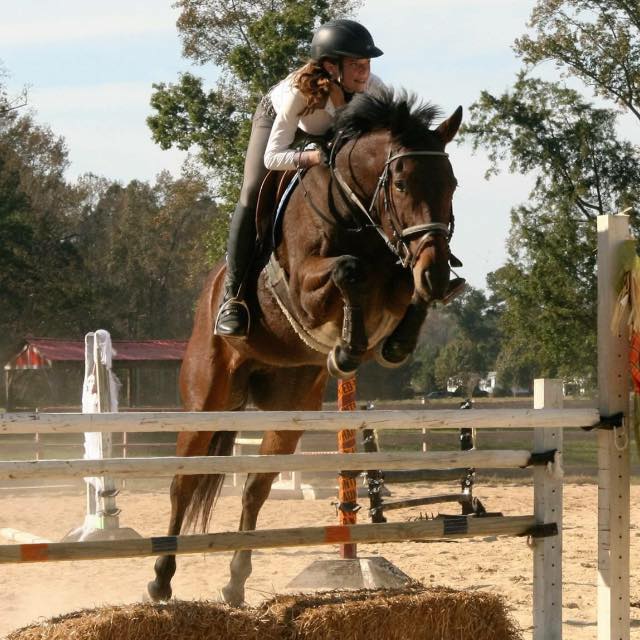 Countyline Equestrian Center | 2616 NC-98, Louisburg, NC 27549, USA | Phone: (919) 271-0417