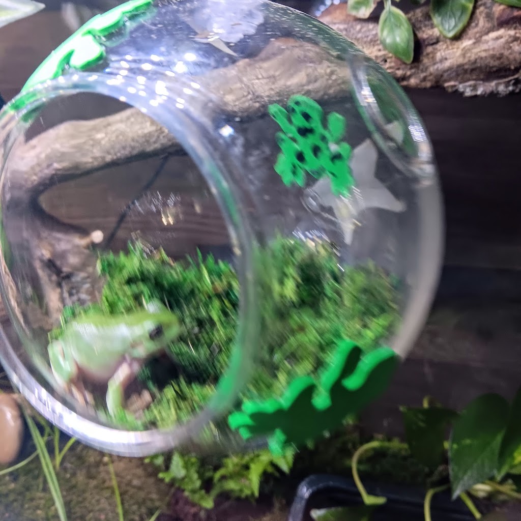 Critters Pet Shop | 7210 Lincoln Way E, Wooster, OH 44691, USA | Phone: (330) 669-7387