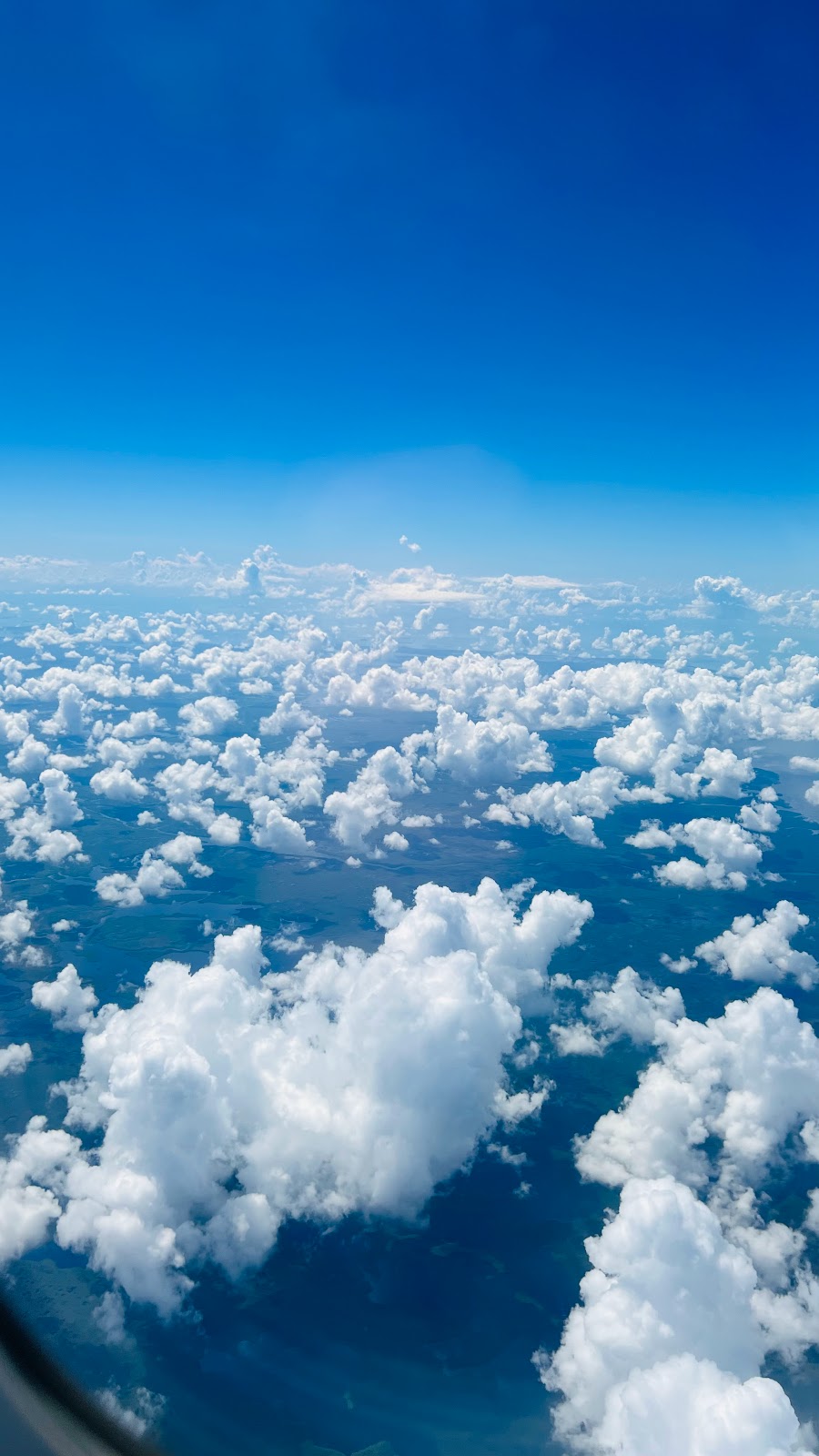 Big Cypress National Preserve | 33100 Tamiami Trail E, Ochopee, FL 34141, USA | Phone: (239) 695-2000