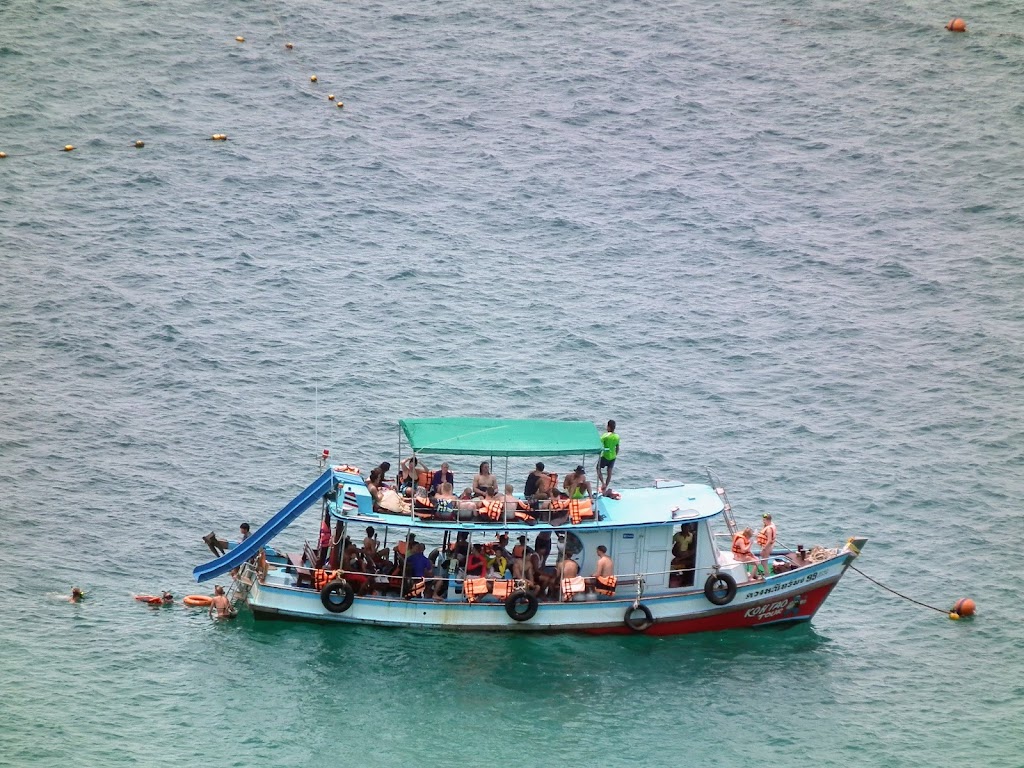 Snorkeling Catalina | 107 Pebbly Beach Rd, Avalon, CA 90704, USA | Phone: (310) 510-3175