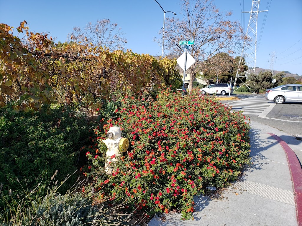 Canal Community Garden | 009 280-08, San Rafael, CA 94901 | Phone: (415) 485-3328