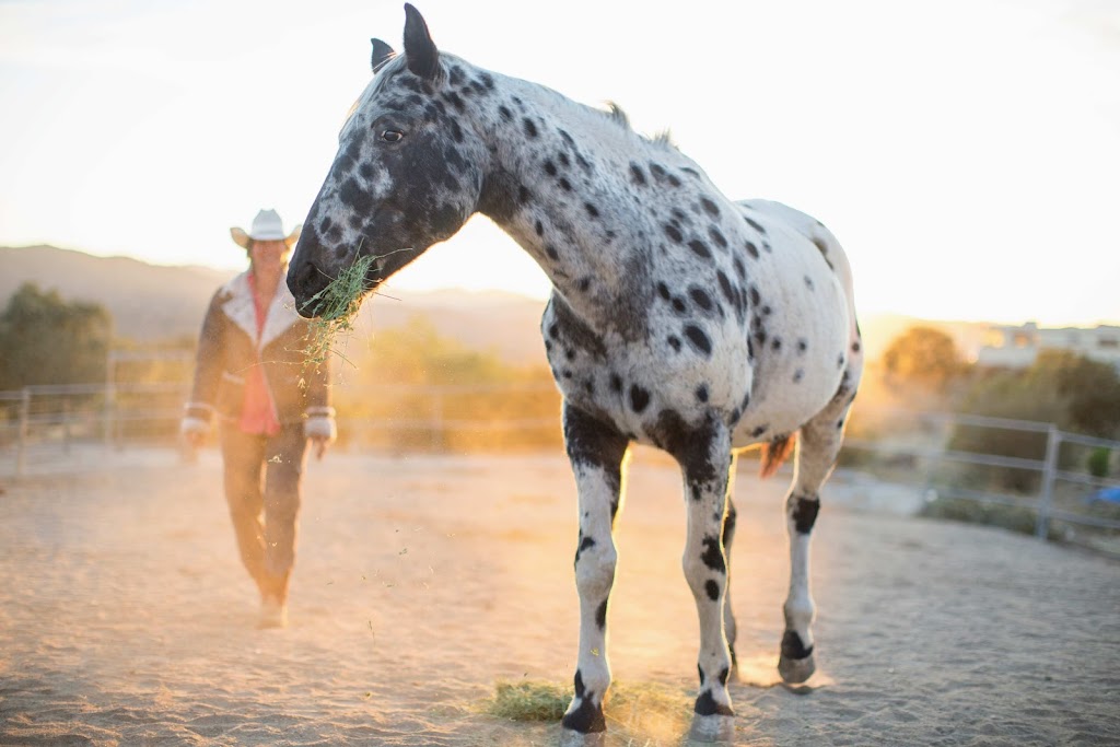 Silver Horse Retreat | 28091 Old Mine Rd, Ranchita, CA 92066, USA | Phone: (760) 445-3580