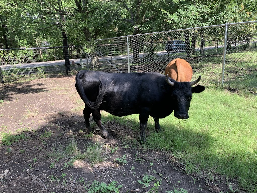 DCT Farms | 905 S Cockrell Hill Rd, Ovilla, TX 75154, USA | Phone: (972) 765-4269