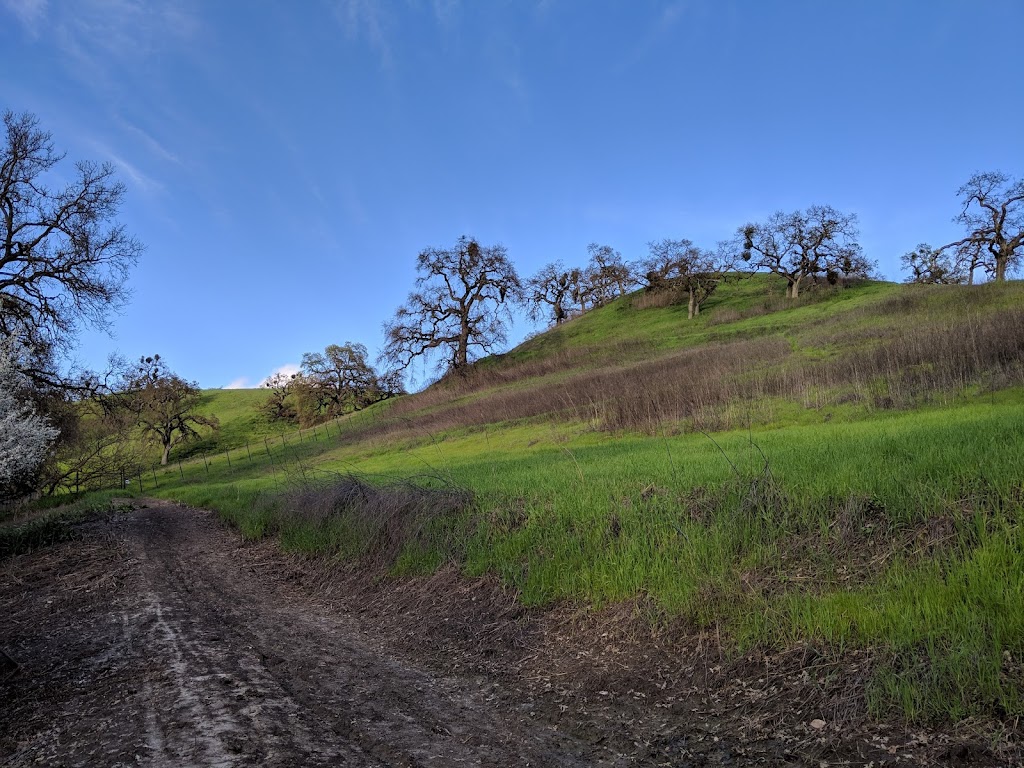 Las Trampas to Mt Diablo Regional Trail | 1099-1067 La Gonda Way, Danville, CA 94526, USA | Phone: (888) 327-2757