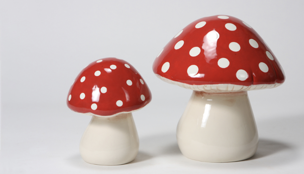 Arts A Blaze Studio | 8111 Lakewood Main St #107, Bradenton, FL 34202, USA | Phone: (941) 306-5840