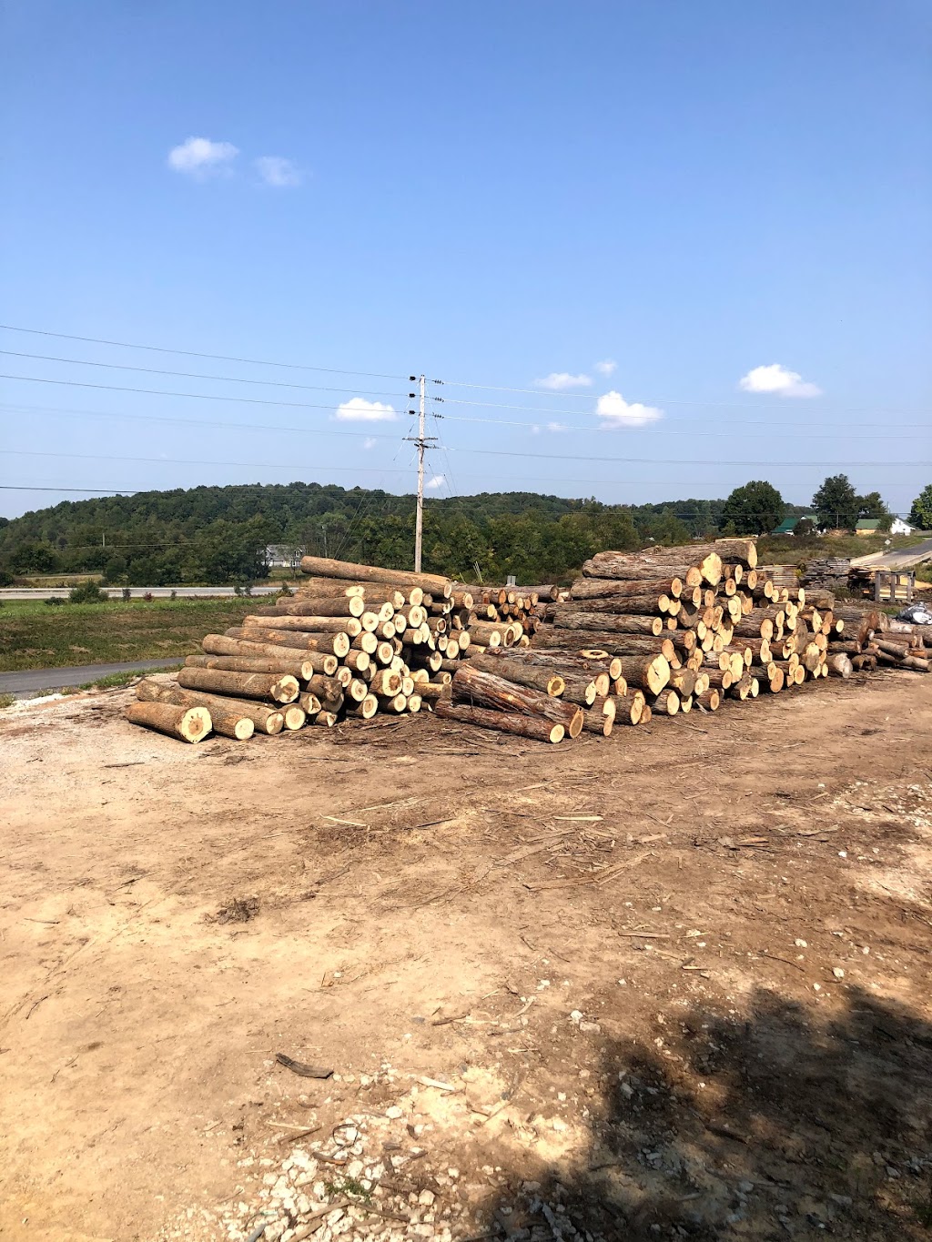 Alben Sawmill LLC | 609 W Park Rd, Portersville, PA 16051, USA | Phone: (724) 968-7760