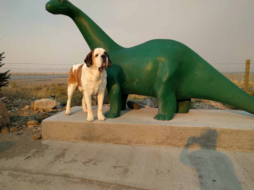 Eagle Animal Hospital in Tiffany Springs | 9300 N Congress Ave, Kansas City, MO 64153, USA | Phone: (816) 880-9500