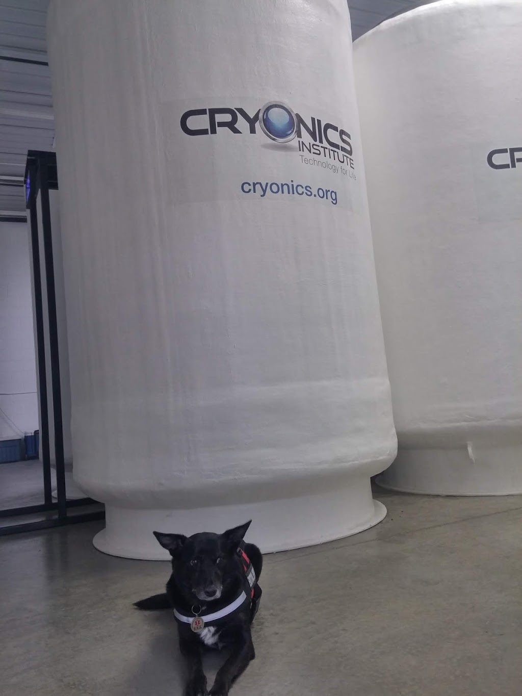 Cryonics Institute | 24355 Sorrentino Ct, Clinton Twp, MI 48035, USA | Phone: (586) 791-5961