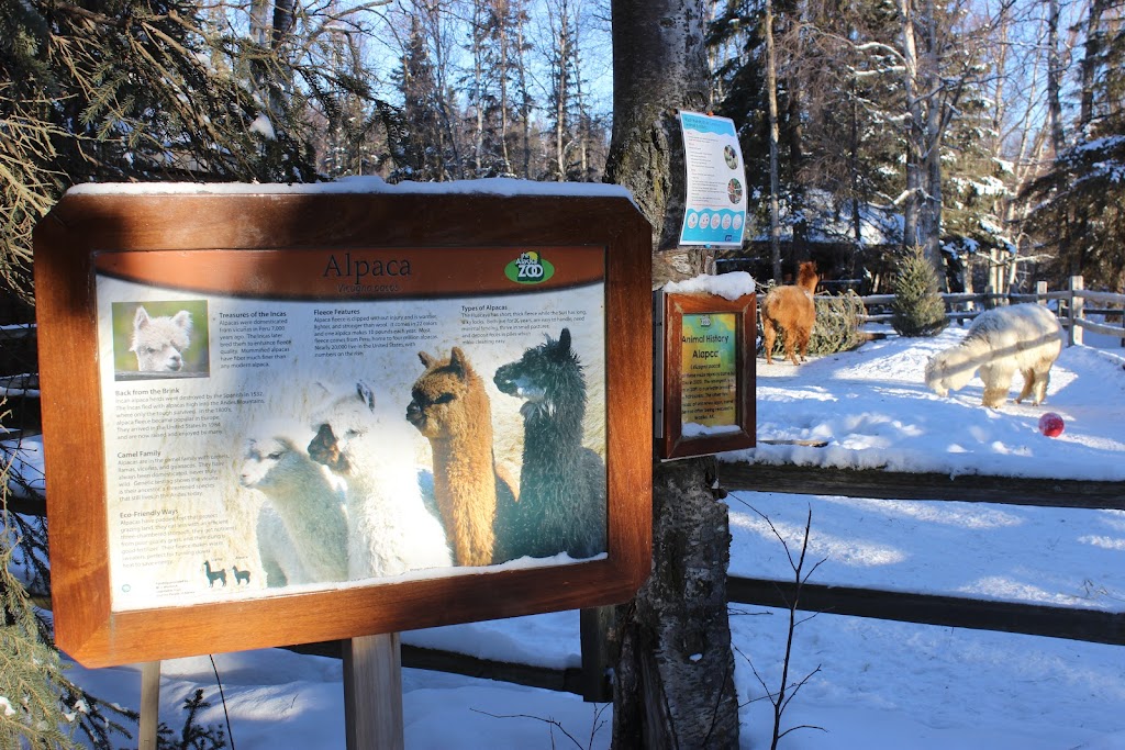 Alpaca Exhibit | 4731 OMalley Rd, Anchorage, AK 99507, USA | Phone: (907) 346-2133