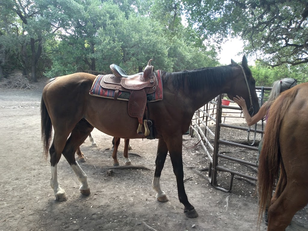 Stricker Trail Rides | 324 Wild Turkey Blvd, Boerne, TX 78006, USA | Phone: (210) 508-9349