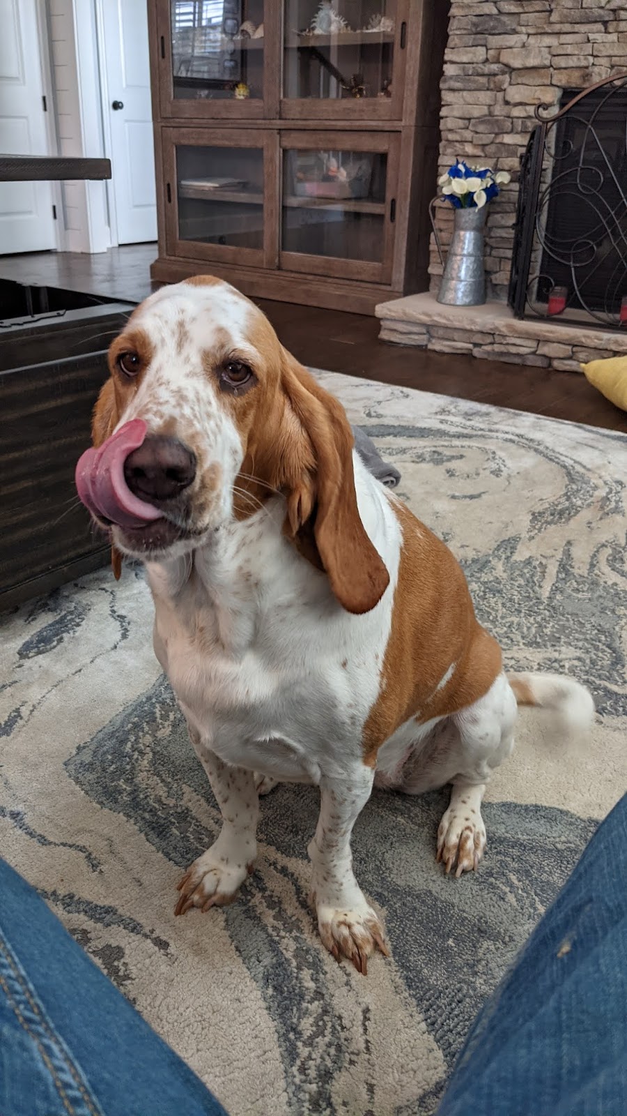 Good Dog Veterinary Care | 3894 Due W Rd NW Suite 250, Marietta, GA 30064, USA | Phone: (770) 450-4555