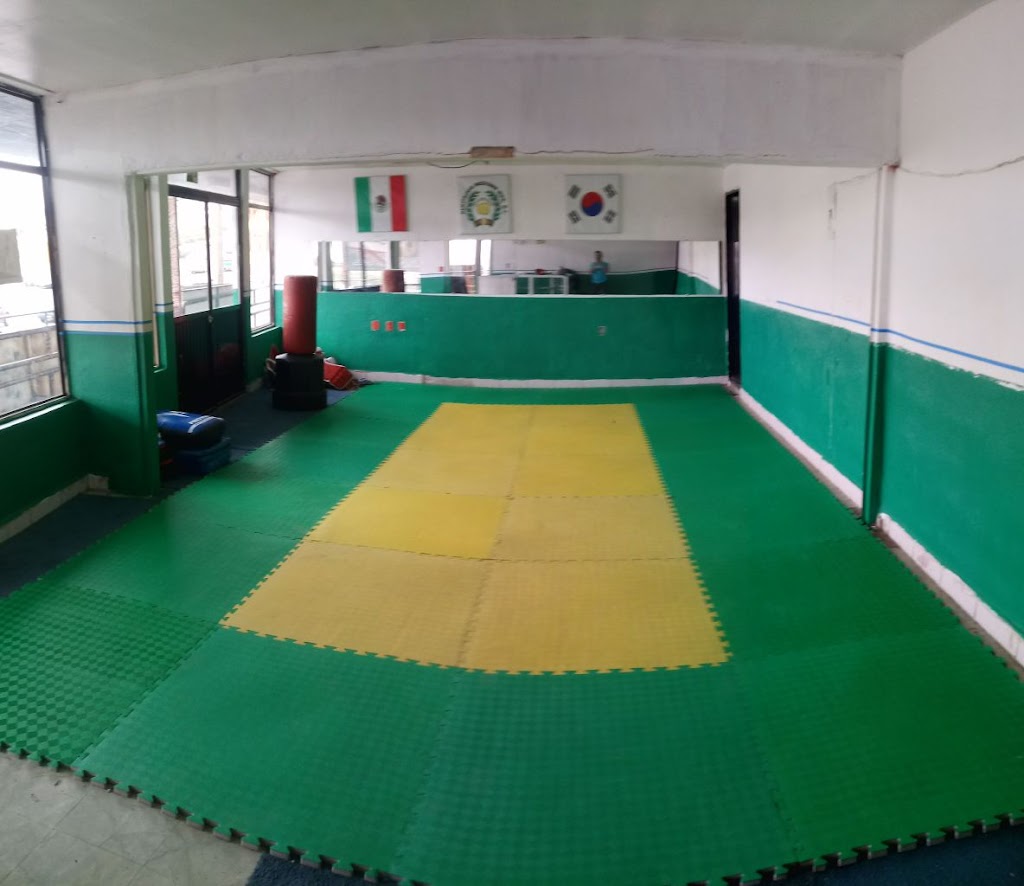 Tae Kwon Do Casa Blanca | 8 de Marzo 9838, Matamoros Norte-Centro-Sur, Mariano Matamoros, 22206 Tijuana, B.C., Mexico | Phone: 664 508 4336