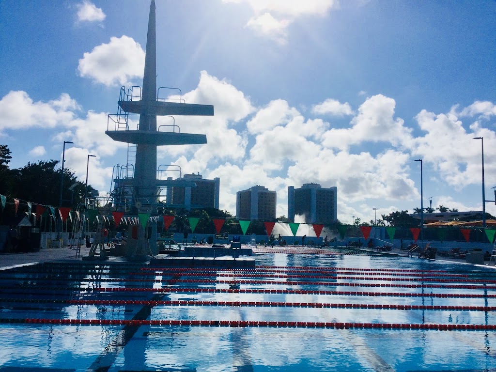 Miami Diving | 1306 Stanford Dr, Coral Gables, FL 33146, USA | Phone: (305) 284-3639