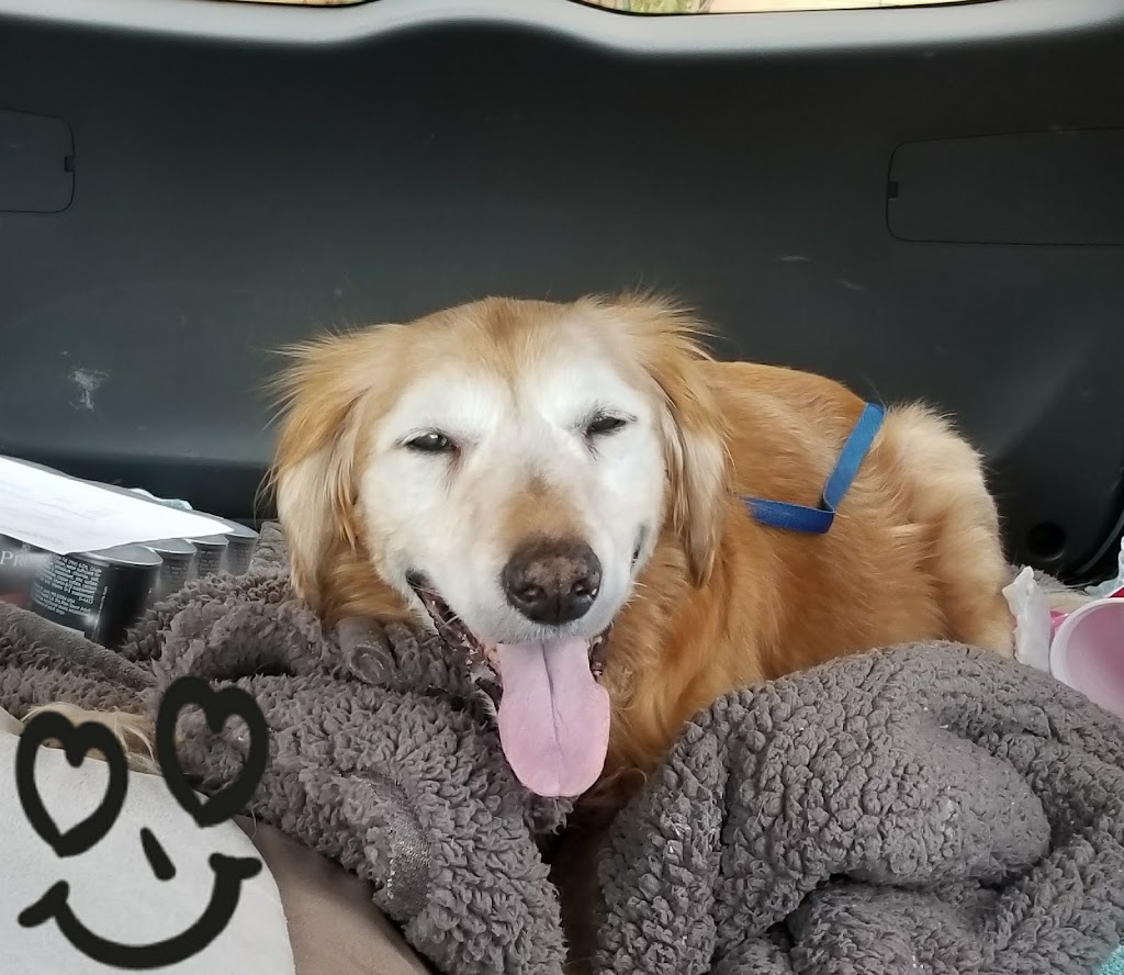 Parkway Springs Animal Hospital - at Arch Plaza | 2221 N Green Valley Pkwy, Henderson, NV 89014, USA | Phone: (702) 433-9111 Parkway Springs Animal Hospital - at Arch Plaza | 2221 N Green Valley Pkwy, Henderson, NV 89014, USA | Phone: (702) 433-9111