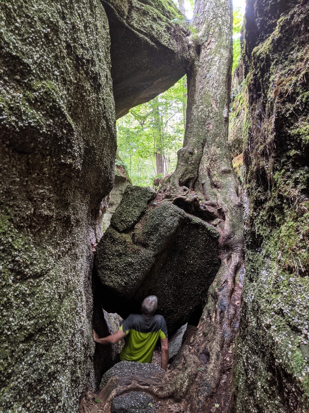 Nelson-Kennedy Ledges State Park | 12440 OH-282, Garrettsville, OH 44231, USA | Phone: (330) 235-0030