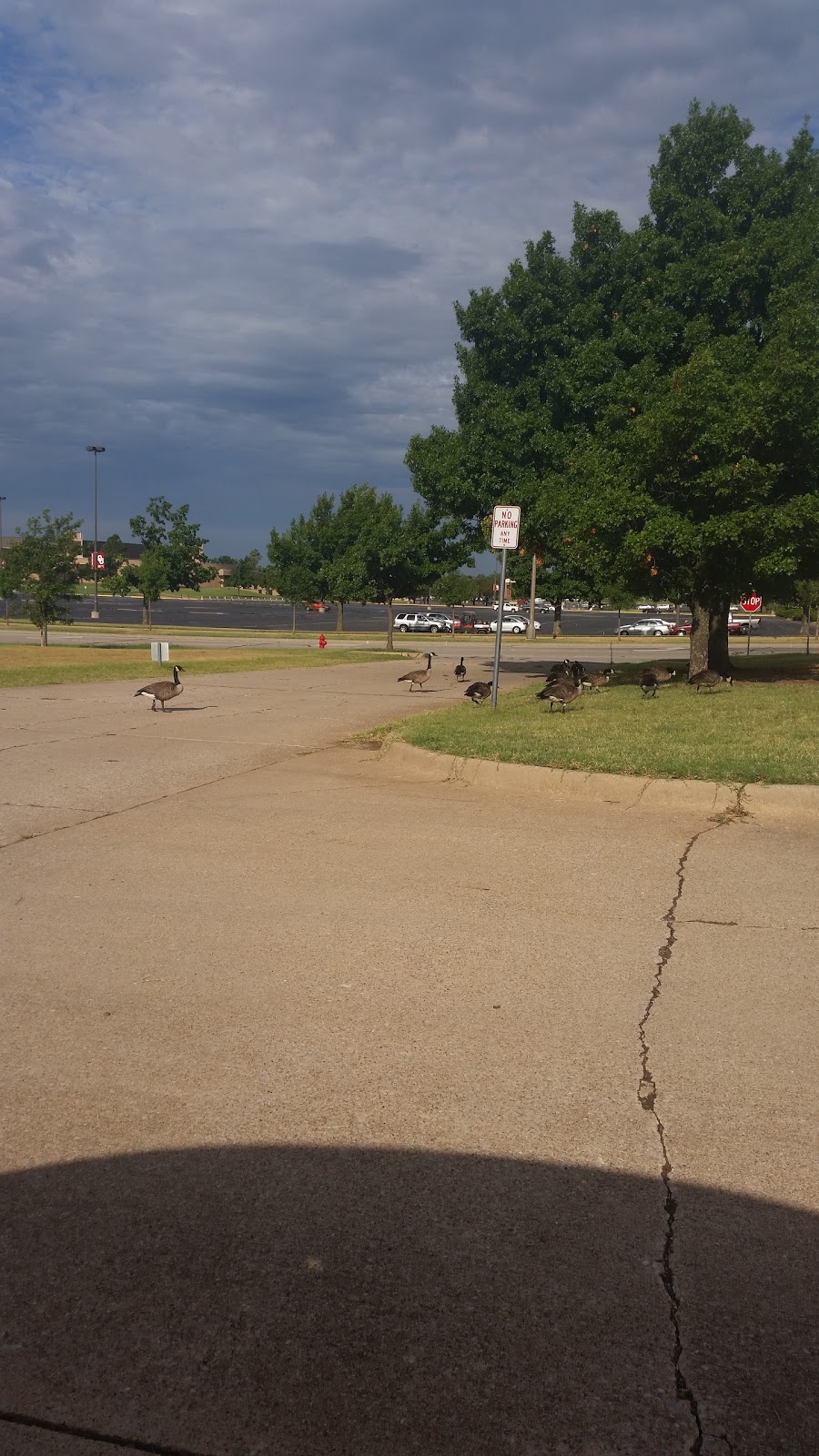 Univ of OK - Archaeological Survey | 111 Chesapeake St, Norman, OK 73019, USA | Phone: (405) 325-7211