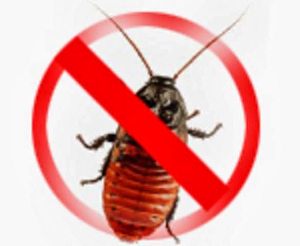 MAGIC PEST CONTROL | 8920 SW 41st Terrace, Olympia Heights, FL 33165, USA | Phone: (305) 321-7787