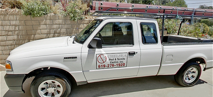 Chelsea Pest and Termite Control | 2321 Morena Blvd Ste K, San Diego, CA 92110 | Phone: (619) 276-1920