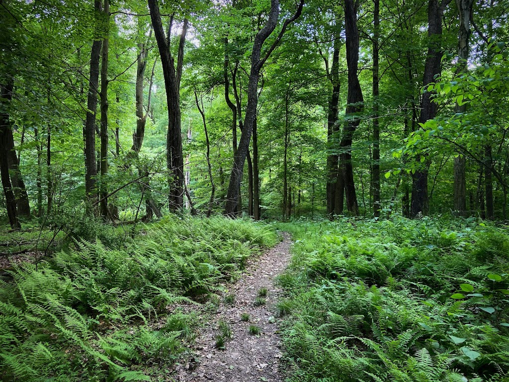 Penn Forest Natural Burial Park | 121 Colorado St, Verona, PA 15147 Mail:, 227 Kansas St, Verona, PA 15147, USA | Phone: (412) 265-4606