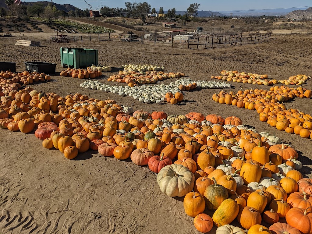 Shady Acres Farm Stand | 32351 Sage Rd, Hemet, CA 92544, USA | Phone: (773) 440-3252