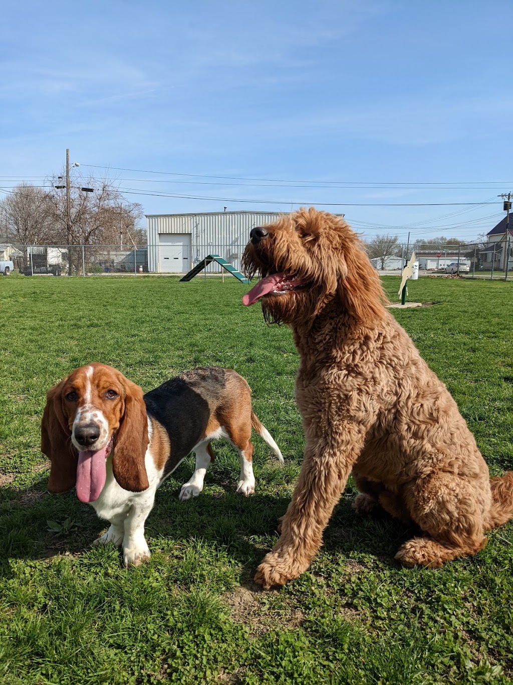 Bluffton K-9 Kommons Dog Park | Bluffton, IN 46714, USA | Phone: (260) 824-6069