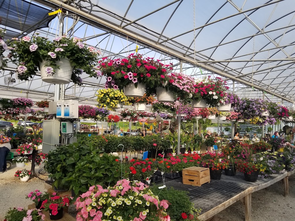 Blooms & Berries Farm Market | 9669 OH-48, Loveland, OH 45140, USA | Phone: (513) 697-9173