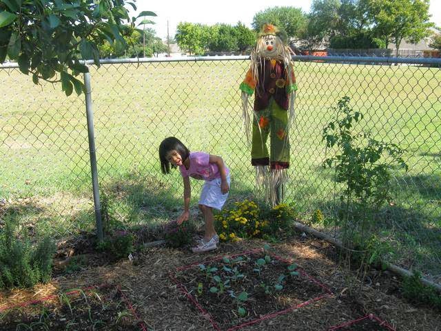 Rainbow Connection Preschool | 1651 E Campbell Rd, Richardson, TX 75081, USA | Phone: (972) 644-0283