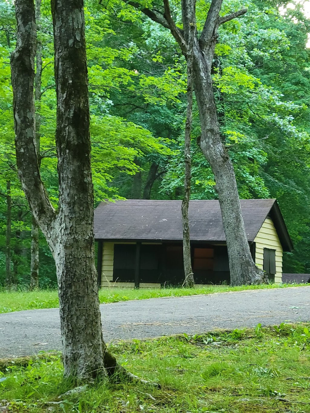 Montgomery Bell State Park. Group Camp 1 | Camp I Rd, Burns, TN 37029, USA | Phone: (615) 797-9052 Montgomery Bell State Park. Group Camp 1 | Camp I Rd, Burns, TN 37029, USA | Phone: (615) 797-9052