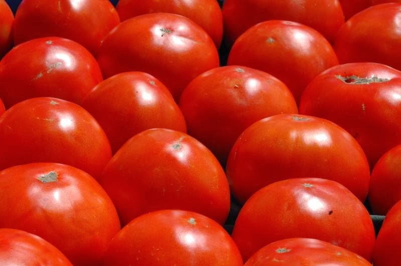 Tomato Mountain Farm | 5681 W Howard St, Niles, IL 60714, USA | Phone: (312) 768-8208