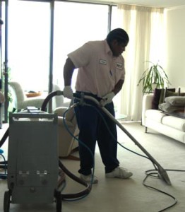 Pro Clean Cleaning & Restoration | 1333 Azalea Garden Rd suite b, Norfolk, VA 23502, USA | Phone: (757) 304-8882