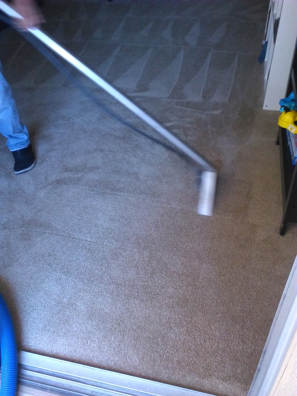 Best Steam Carpet Cleaning | 1050 Borregas Ave, Sunnyvale, CA 94089, USA | Phone: (650) 679-5809