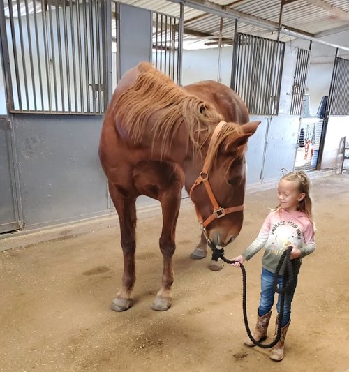 Windsor Equestrian Center | 12307 Willow Rd, Lakeside, CA 92040, USA | Phone: (619) 334-4777