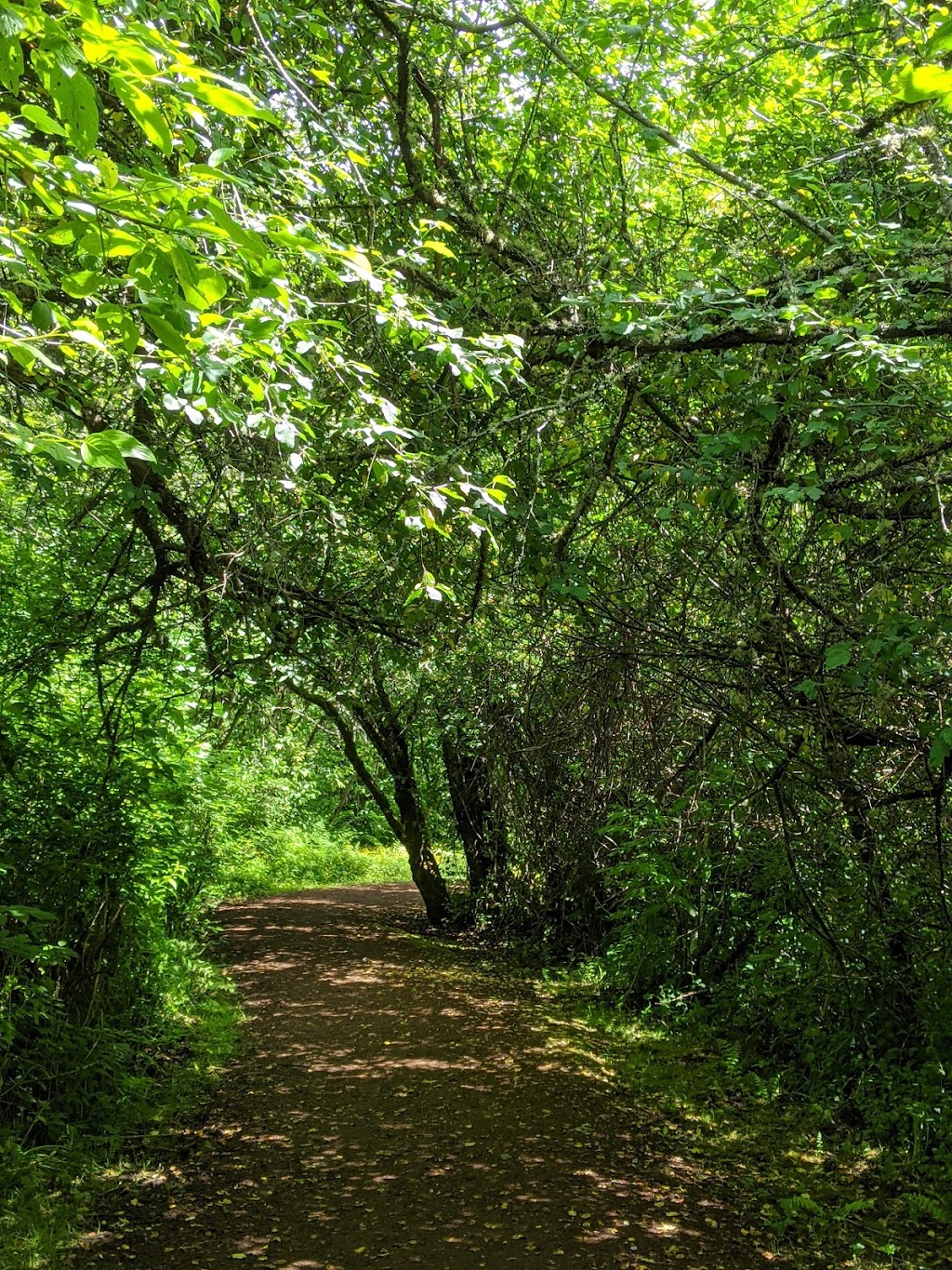 Bellefields Trailhead Parking | 1881-2083 118th Ave SE, Bellevue, WA 98005, USA | Phone: (844) 361-4636