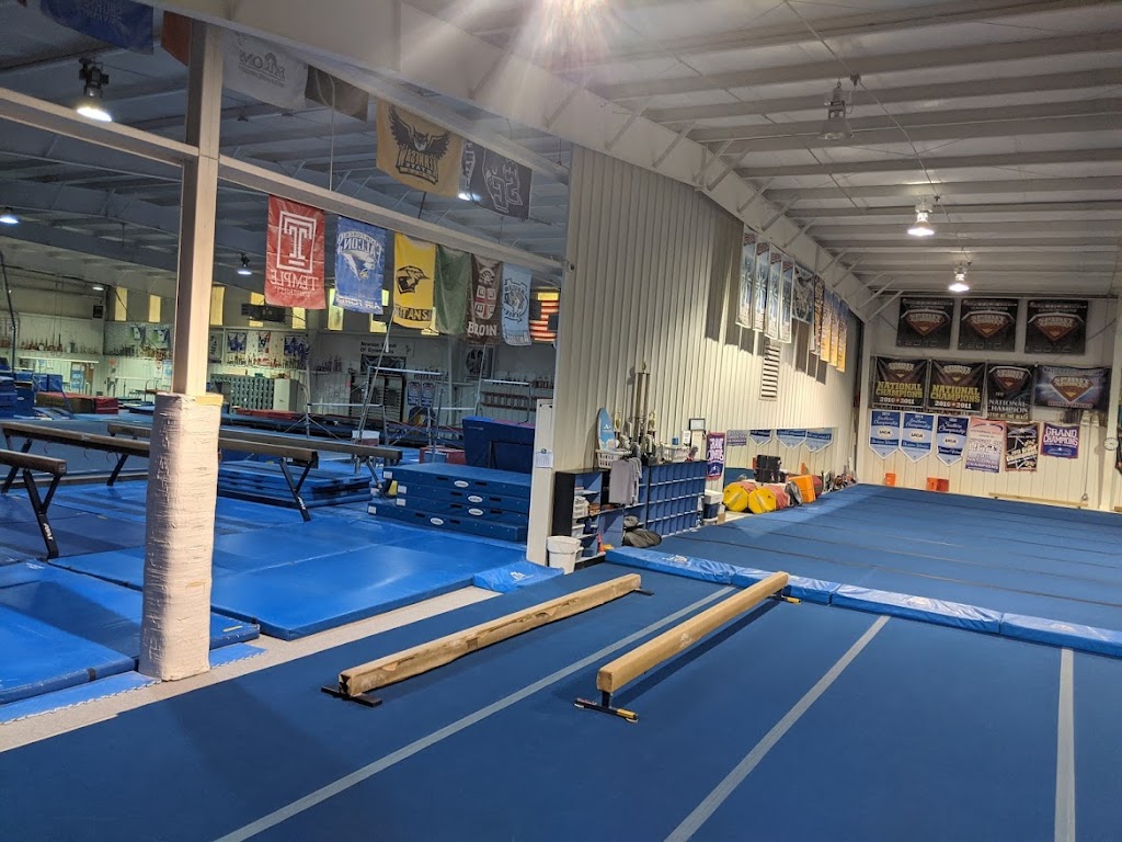 Newnan School of Gymnastics | 4 Shenandoah Blvd E, Newnan, GA 30265, USA | Phone: (770) 254-0637