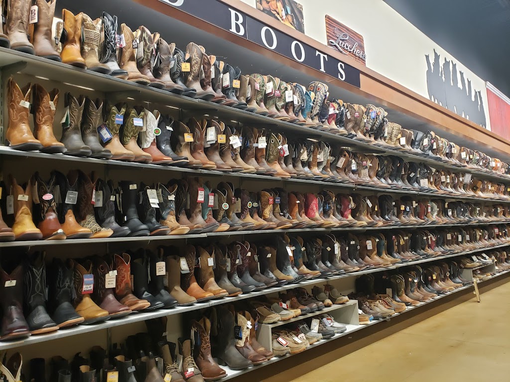 Boot Barn | 829 N Dobson Rd, Mesa, AZ 85201, USA | Phone: (480) 668-1211