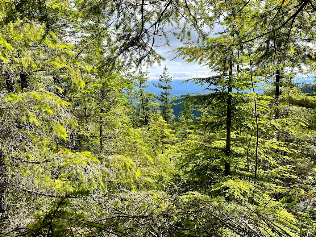 Highpoint Trailhead | Parking lot, 26415 SE 79th St, Issaquah, WA 98027, USA | Phone: (206) 625-1367