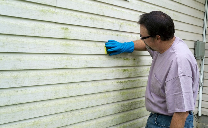 Mold Experts of Omaha | 3231 Harney St, Omaha, NE 68131 | Phone: (402) 576-5728