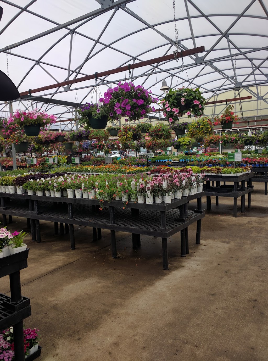 Calloways Nursery | 7600 Greenville Ave, Dallas, TX 75231, USA | Phone: (972) 354-3186