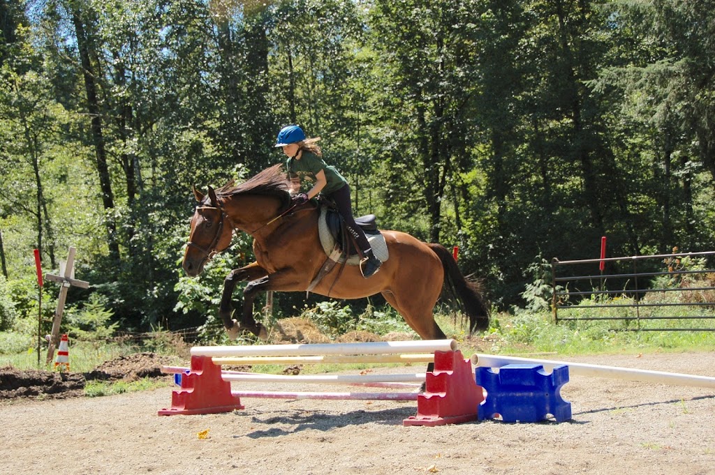 Misty Acres horse Lessons and trail rides | 29615 SE 281st St, Ravensdale, WA 98051, USA | Phone: (425) 432-1467