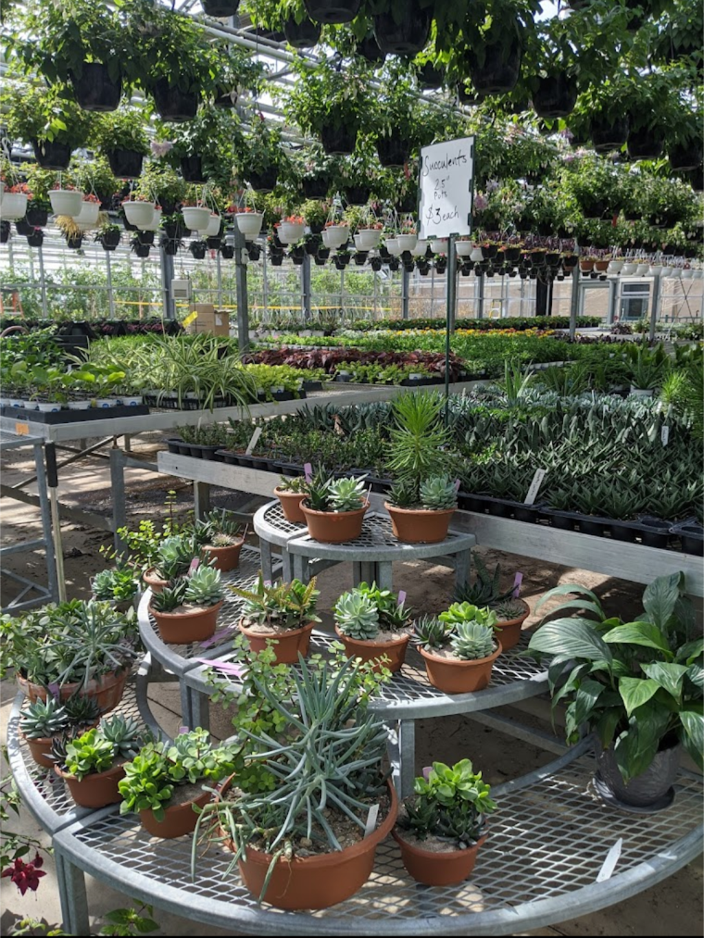 Niagara College Greenhouse Nursery | 135 Taylor Rd, Niagara Falls, ON L0S 1J0, Canada | Phone: (905) 641-2252 ext. 4082