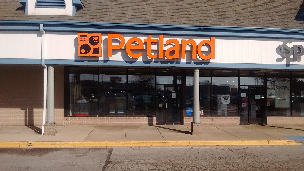 Petland Merrillville | 1736 E 80th Ave, Merrillville, IN 46410, USA | Phone: (219) 777-3435