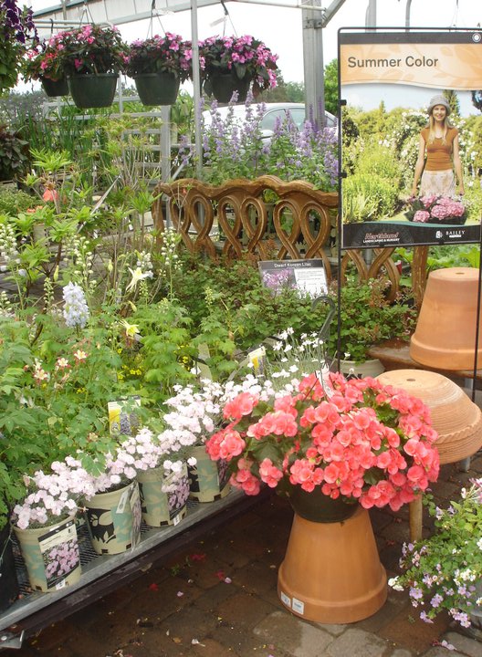 Northland Landscape Nursery | 29905 MN-65, Isanti, MN 55040, USA | Phone: (763) 444-6314