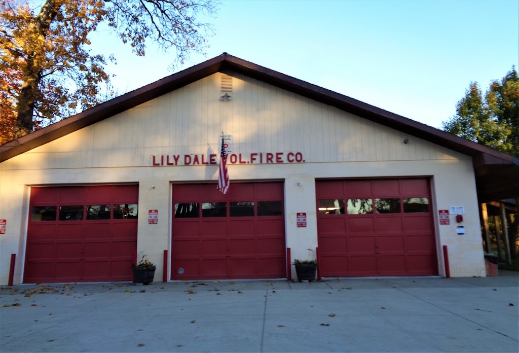 Lily Dale Volunteer Fire Station | 17 East St, Lily Dale, NY 14752 | Phone: (716) 595-3090