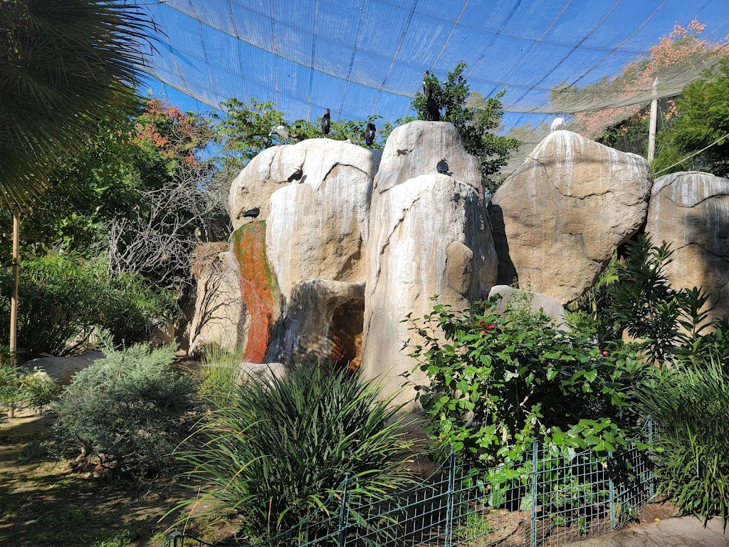 Wings of the World Aviary | Escondido, CA 92027, USA | Phone: (619) 231-1515