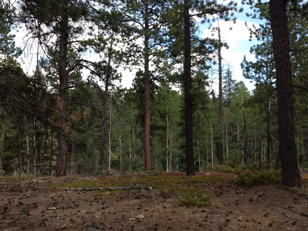 Phantom Creek Trailhead | Divide, CO 80814, USA | Phone: (719) 636-1602