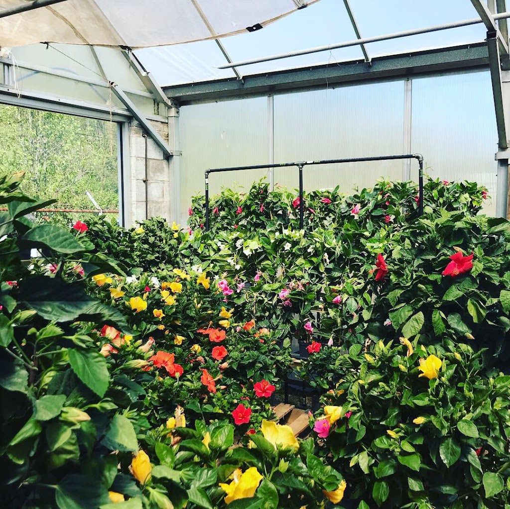 Kubrick Brothers Garden Center | 329 Coxcomb Hill Rd, New Kensington, PA 15068, USA | Phone: (724) 339-8330