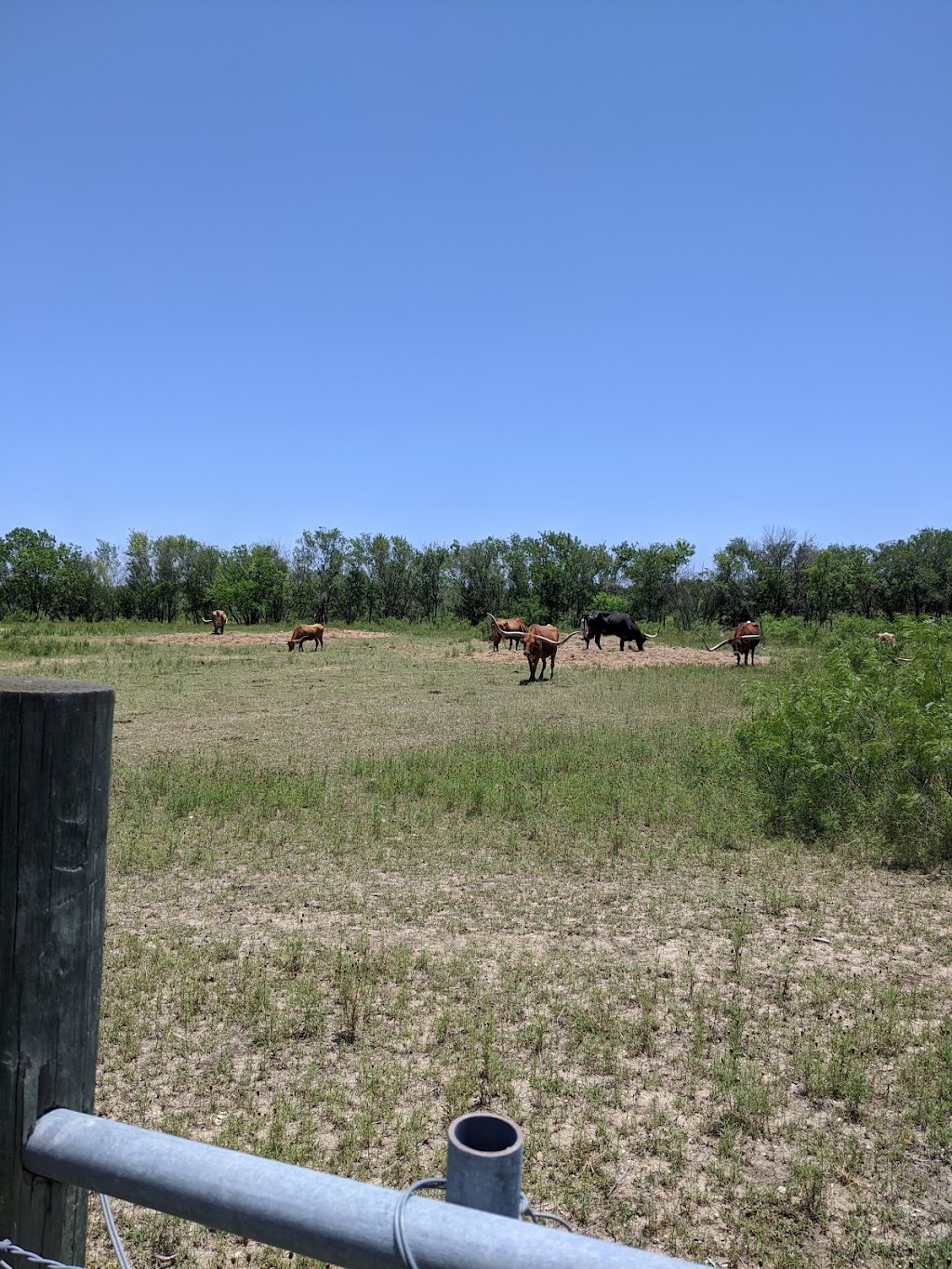 Fast Park & Relax AUS / ABIA | 2300 Spirit of Texas Dr, Del Valle, TX 78617, USA | Phone: (512) 385-8877