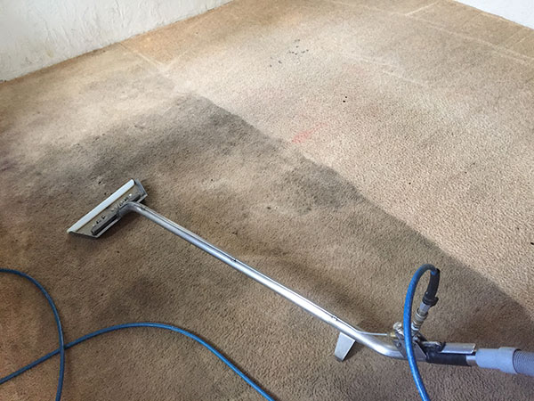 Carpet Savers | 7702 N John Hancock Ave, Tucson, AZ 85741, USA | Phone: (520) 297-9240